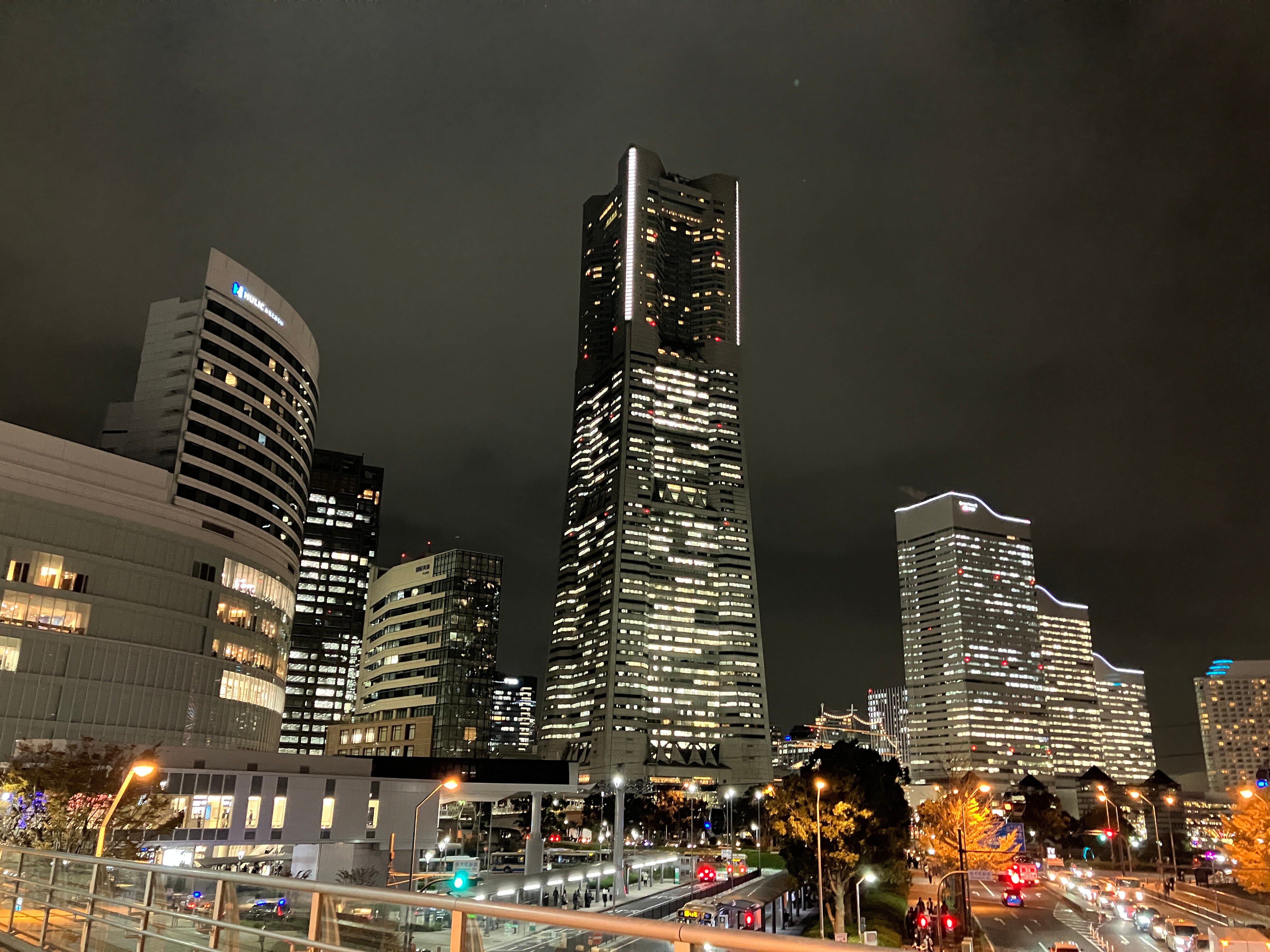 横浜 ランドマークタワー 69階スカイガーデン展望台 入場Eチケット 予約