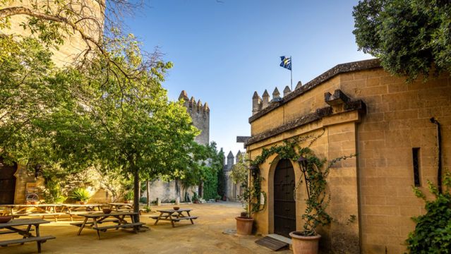 Castillo de Almodovar del Rio