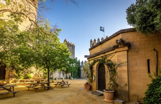 阿爾莫多瓦·德爾里奧城堡門票小童