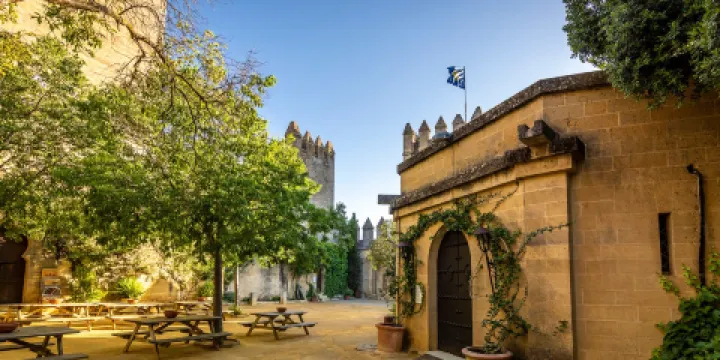 阿爾莫多瓦·德爾里奧城堡