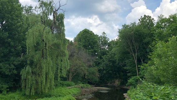 Saddle River County Park