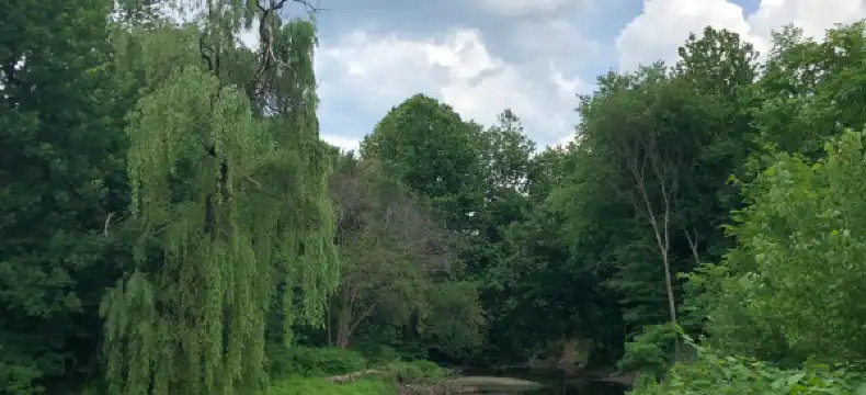 Hotels in Saddle Brook