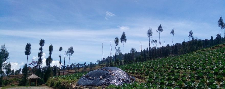 Posong Natural Park