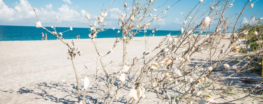 Manasota Key