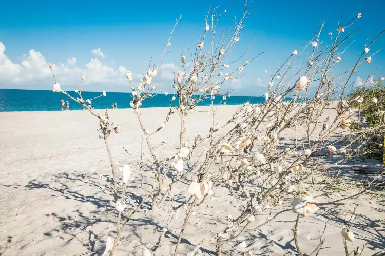 Hotels in Manasota Key