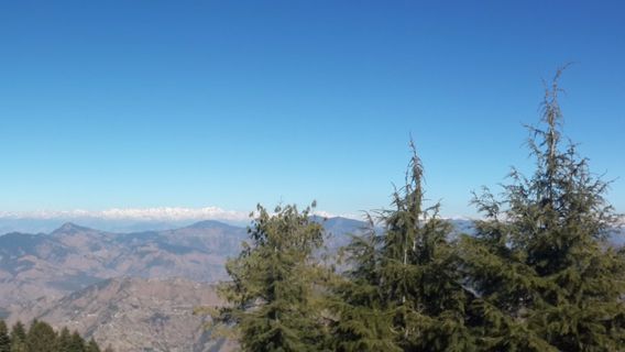 Shimla