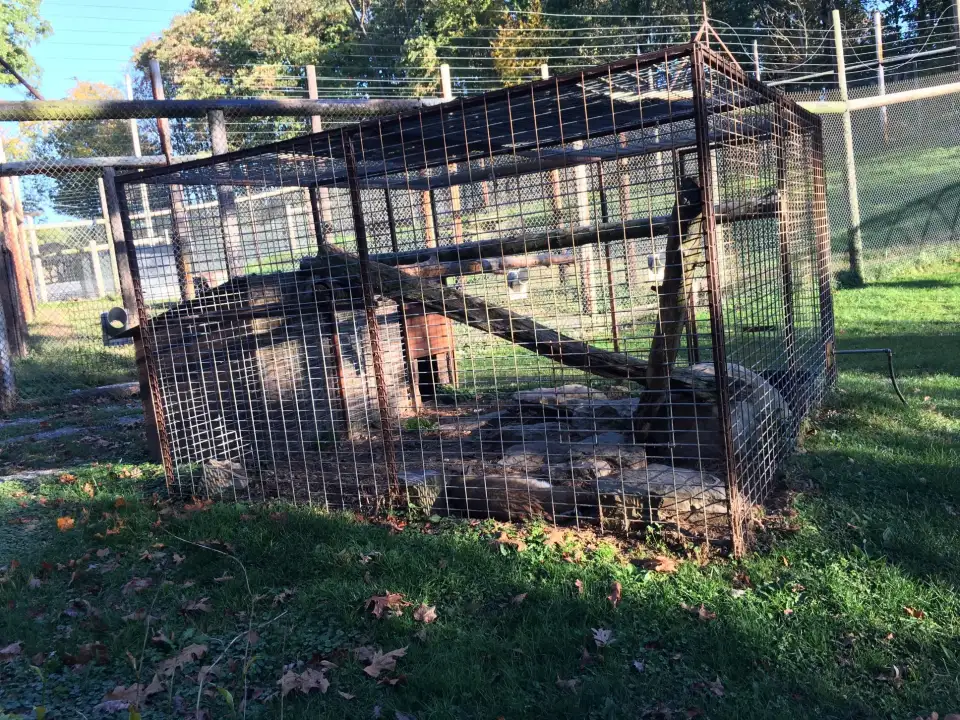 5_Hovatter’s Wildlife Zoo