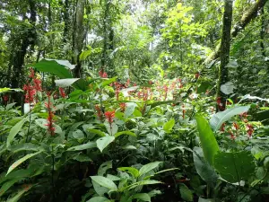 Guayabo National Monument