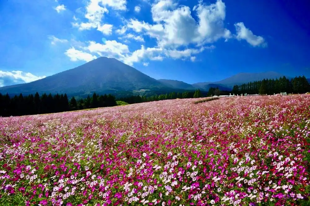 Các khách sạn gần Ikoma Highlands