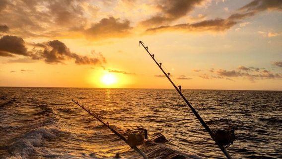 Bite Me Sportfishing