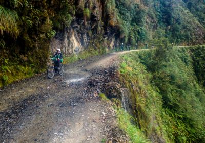 Nor Yungas