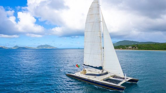 Leeward Islands Charters