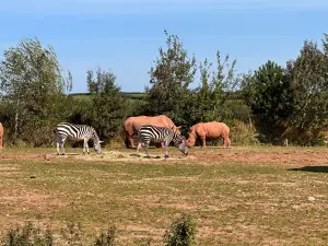 South Lakes Safari Zoo