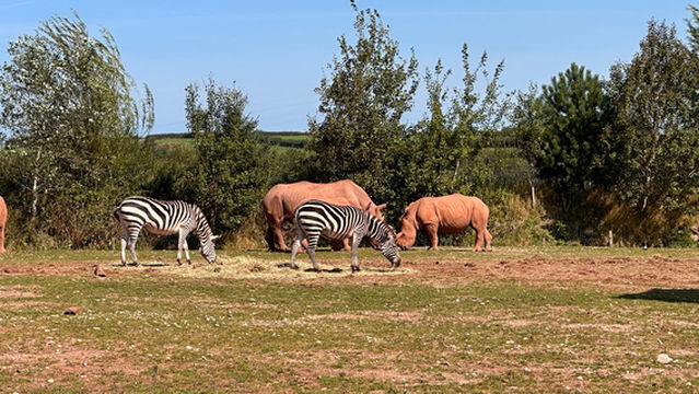 South Lakes Safari Zoo