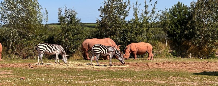 South Lakes Safari Zoo