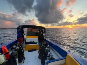 Scuba Shack Owned & Operated by Shoal Bay Scuba