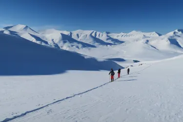 Svalbard Wildlife Expeditions