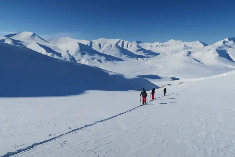 Hotels near Svalbard Wildlife Expeditions