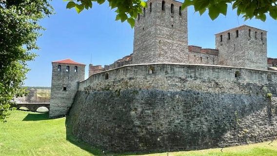 Baba Vida Fortress
