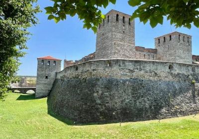 Baba Vida Fortress