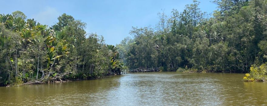 Parc Ivoloina