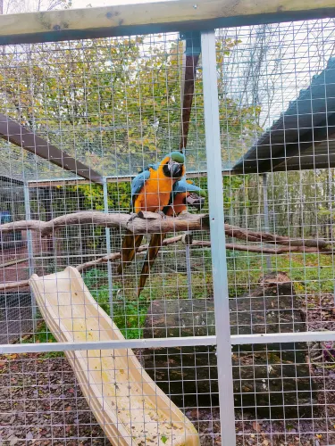 C&J's Animal Park