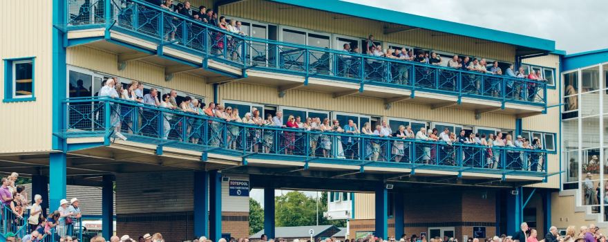 Newton Abbot Races Ltd