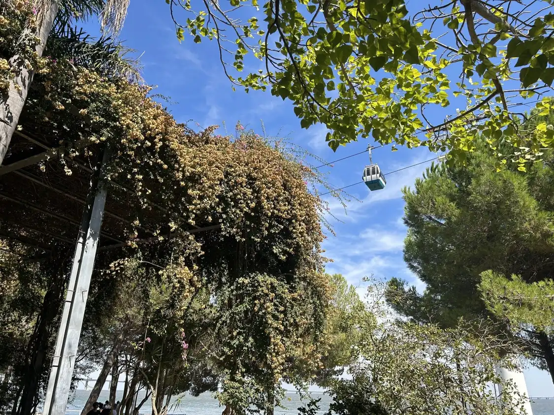 Hotel in zona Jardim Garcia de Orta