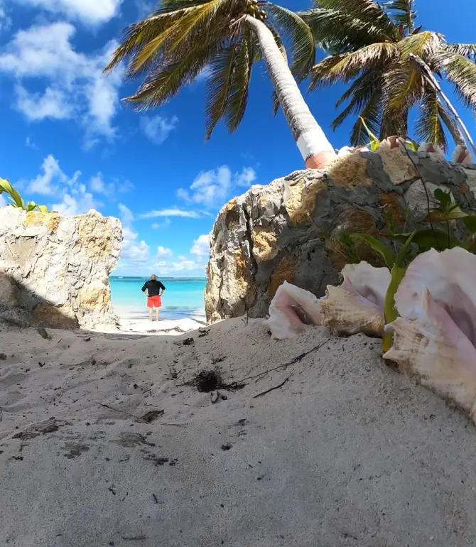 Anegada