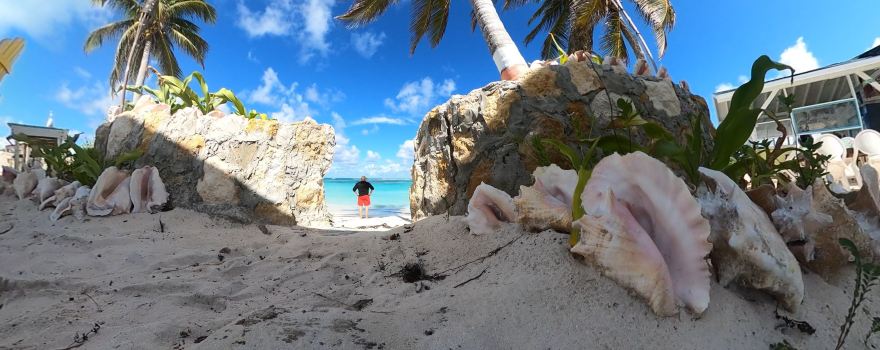 Anegada