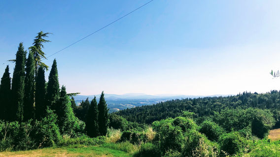 Sant'Agnese Farm