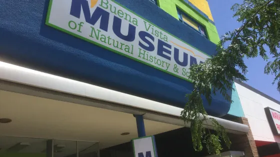 Buena Vista Museum of Natural History