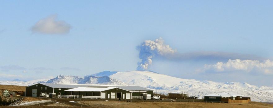 Icelandic HorseWorld