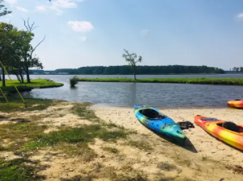 Blackwater Adventures Chesapeake Bay