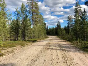 Pakasaivo