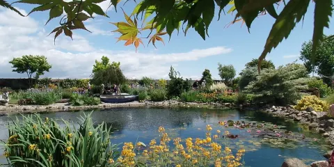 Thornton Hall Gardens