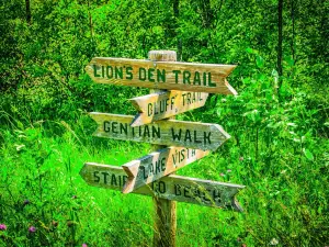 Lion's Den Gorge Nature Preserve