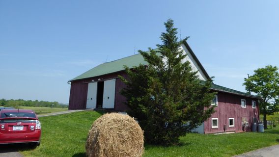 Faith Like A Mustard Seed Farm LLC