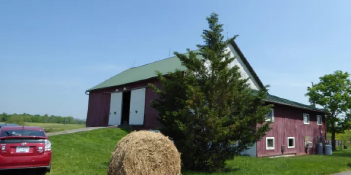 Faith like a Mustard Seed Farm