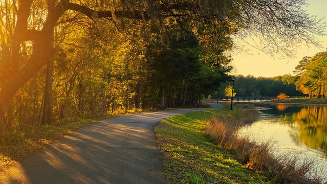 Tom Triplett Community Park