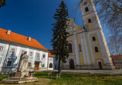 Franciscan monastery and the church of St. Rocco