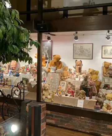 鄰近飛驒高山泰迪熊環保村的酒店