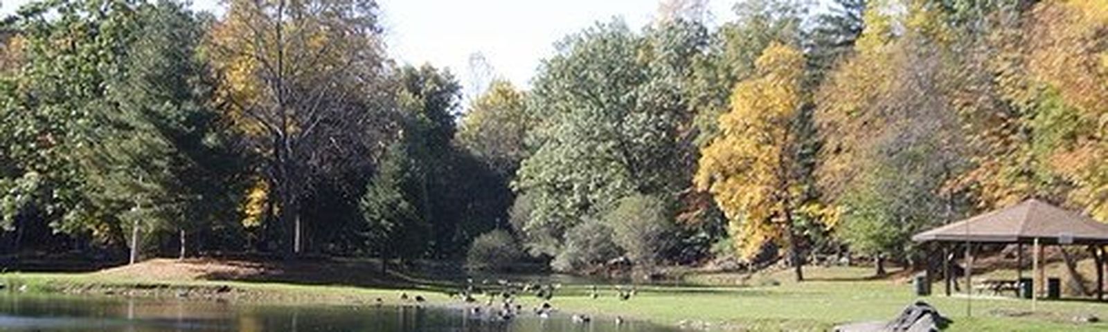 皮克斯基爾SIM卡