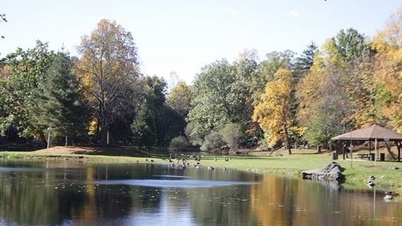 Depew Park