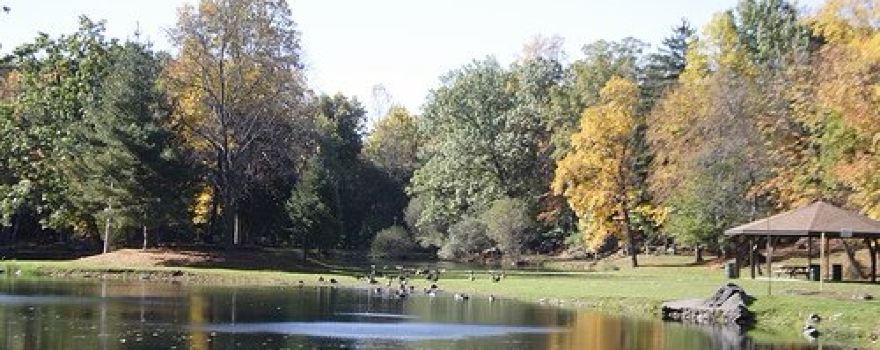 Depew Park