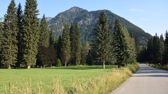 Revelstoke