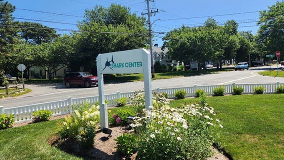 AWSC Shark Center Chatham