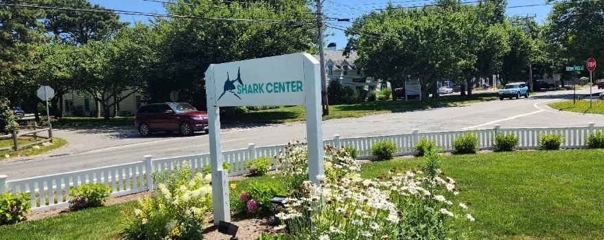 AWSC Shark Center Chatham