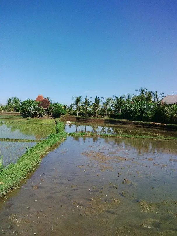 1_Umabali Traditional Spa