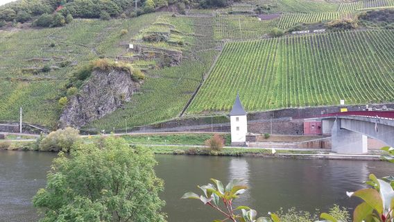 Trittenheim